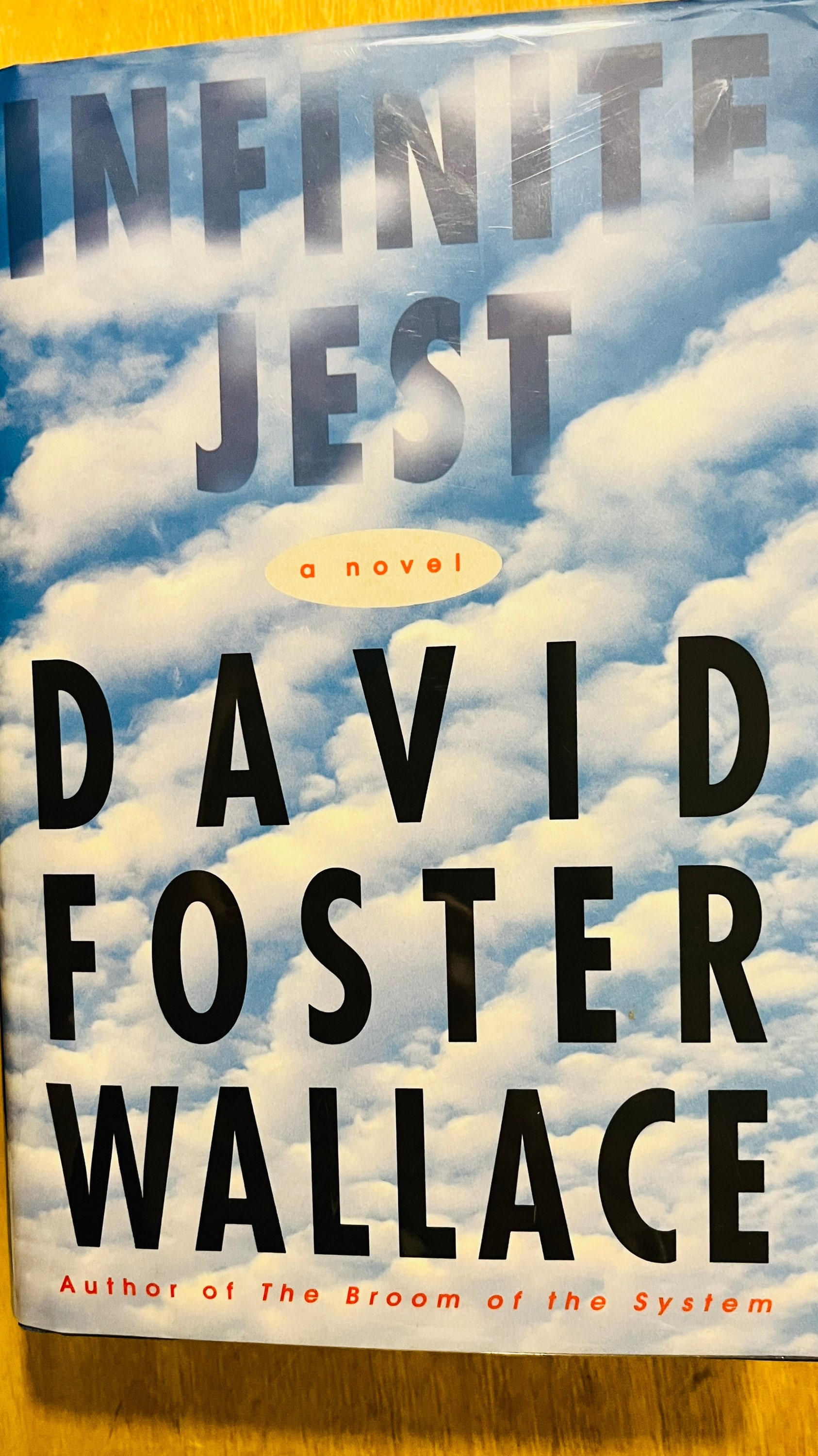 デイヴィッド・フォスター・ウォレス Oblivion Infinite Jest