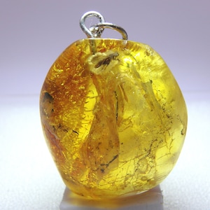 Baltic Amber Pendant With Inclusion 9446 Nice Brachycera Fly In Clear Amber. Jewelry. Entomology. Fossil Insect. Paleoentomology. Gift.