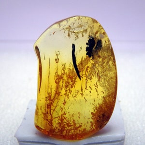May include: A close-up of a piece of amber with a small insect trapped inside. The amber is a light yellow colour and is translucent. The insect is a dark brown colour and is visible through the amber.