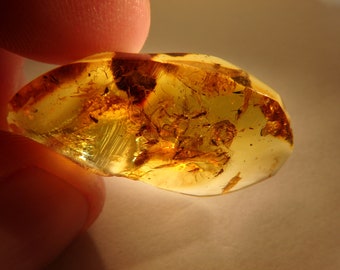 May include: A piece of amber with several insects trapped inside. The amber is a light yellow color and is translucent. The insects are visible through the amber.