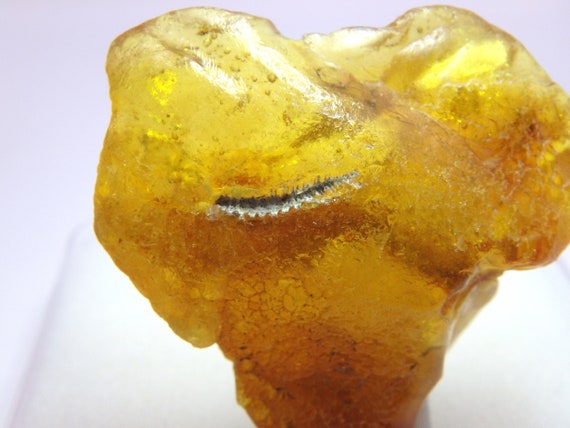 希少琥珀　インクルージュ動物の骨 希少琥珀 インクルージュ動物の骨 バルト海産琥珀インクルージョン