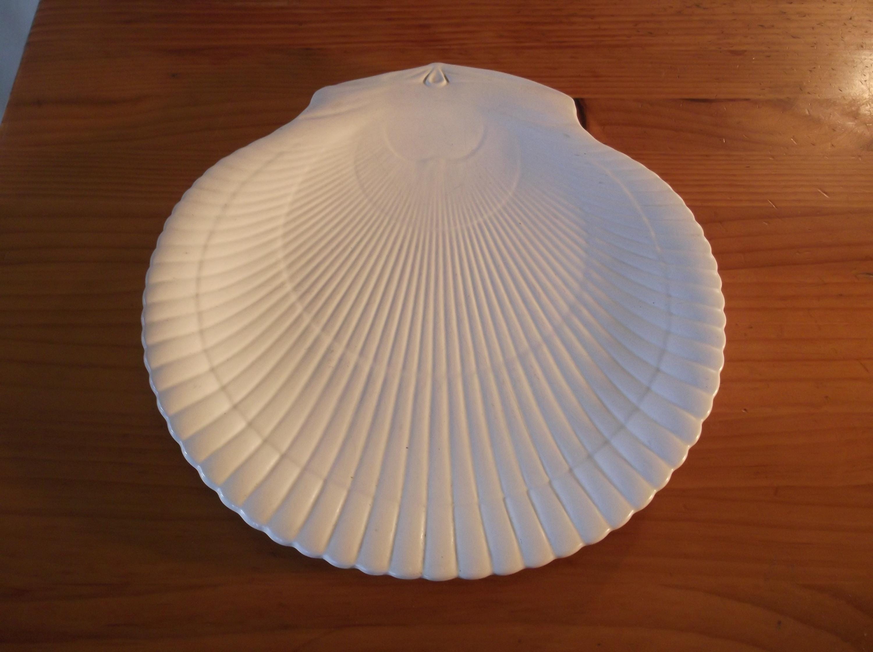 Wedgwood Nautilus Shell - Etsy