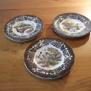 Può includere: Tre piatti in ceramica marrone e bianca con un bordo decorativo e un motivo di uccelli. I piatti presentano un fagiano, un'anatra e due quaglie.