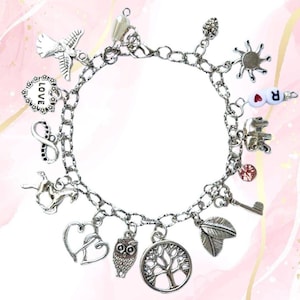 Personalized Charm Bracelet: Stainless Steel Twist Chain, Silver Charms