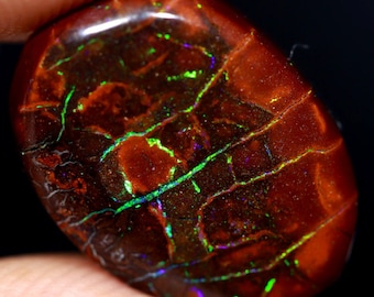 Opale Boulder "Koroit", 7.05 carats Ovale, 100% naturelle origine Australie Queensland