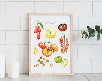 Tomato Art, Botanical Art, Vegetable Painting, Watercolor, Food Illustration,Kitchen Decor, Digital Art Print,Digital Download,Printable Art