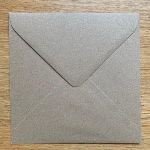 May include: A brown paper envelope with a white flap.