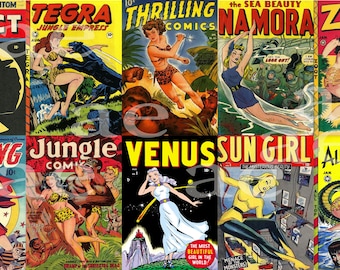 Female Superheroes poster / Marvel and DC Comics / Collection of Comics / Silver Age / Power of Women / Female comic book characters