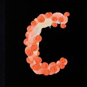 Peut inclure: Trois illustrations de femmes formant les lettres B, C et D. La femme formant la lettre B est enroul&eacute;e autour d'un serpent vert. La femme formant la lettre C est entour&eacute;e de roses rouges. La femme formant la lettre D est entour&eacute;e d'&eacute;toiles bleues et d'un croissant de lune.