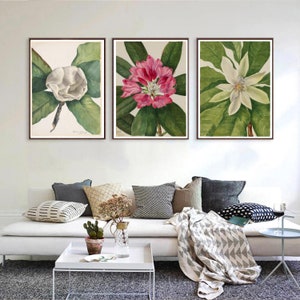 Set of 3  Flower Prints / Mary Vaux Walcott Flowers / Vintage Botanical Art from 1910s
