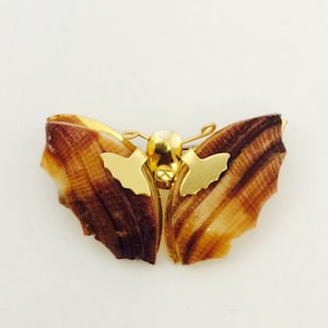 Seashell Butterfly Brooch Pin Hand Crafted Gold Tone Pin Insect Beach Earthy 60s Beachwear Jewelry Man Brooch Handcrafted Ocean Seashells
