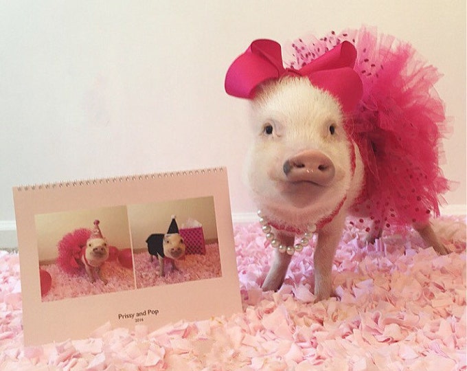 2016 Prissy and Pop Calendar Etsy