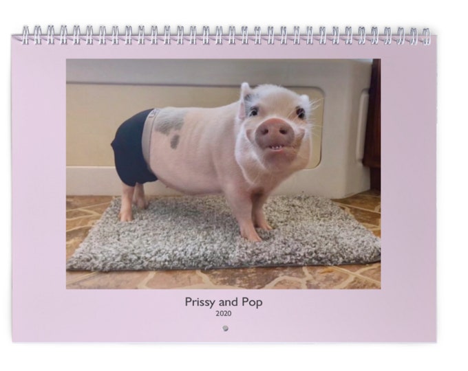 Prissy & Pop 2020 Calendar Etsy