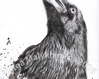 Raven, Crow, Watercolor Painting Digital Download