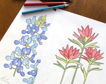 Hand Drawn Wildflower Coloring Pages, Set of 4 Printable Floral Color Sheets, Fun Easy Activity for Kids and Adults, DIY Flower Art