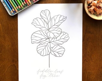 Fiddle Leaf Fig Tree Coloring Page, Fun Modern Color Sheets, Adult Coloring Activity, Hand Drawn Plant Drawings, Download and Print