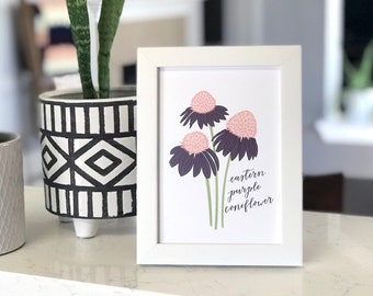 SALE Hand Drawn Flower Art Print, Eastern Purple Coneflower Wildflower Illustration, Colorful Floral Art, Nursery Floral Art