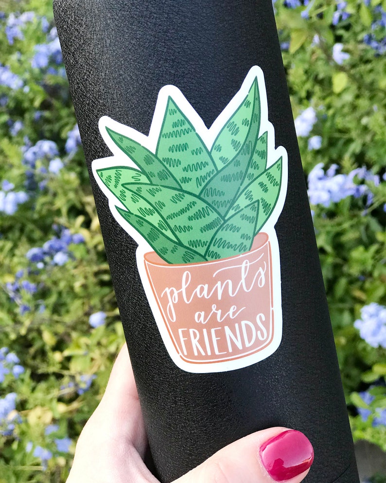 Set of Two Plant Stickers, Hand Drawn Plant Lady Sticker and Plants are Friends Sticker, Cute Crazy Plant Lady Gift, Water Bottle Stickers image 2