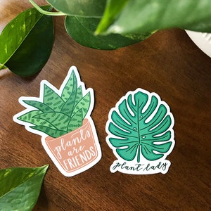 Plant Sticker Set, Crazy Plant Lady Gift, Cactus Sticker, Plant Person Sticker, Monstera Sticker, Hand Drawn Stickers, Water Bottle Decal image 7