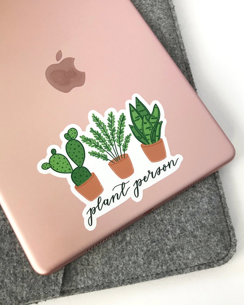 Plant Sticker Set, Crazy Plant Lady Gift, Cactus Sticker, Plant Person Sticker, Monstera Sticker, Hand Drawn Stickers, Water Bottle Decal image 5