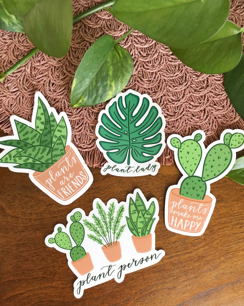 Plant Sticker Set, Crazy Plant Lady Gift, Cactus Sticker, Plant Person Sticker, Monstera Sticker, Hand Drawn Stickers, Water Bottle Decal image 1