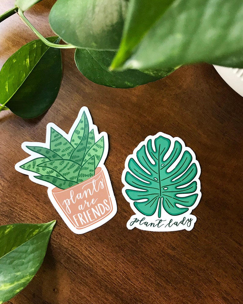 Set of Two Plant Stickers, Hand Drawn Plant Lady Sticker and Plants are Friends Sticker, Cute Crazy Plant Lady Gift, Water Bottle Stickers image 1