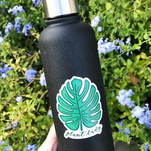 Plant Sticker Set, Crazy Plant Lady Gift, Cactus Sticker, Plant Person Sticker, Monstera Sticker, Hand Drawn Stickers, Water Bottle Decal image 4