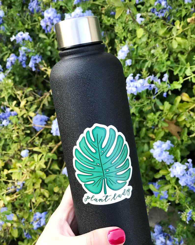 Plant Sticker Set, Crazy Plant Lady Gift, Cactus Sticker, Plant Person Sticker, Monstera Sticker, Hand Drawn Stickers, Water Bottle Decal image 4