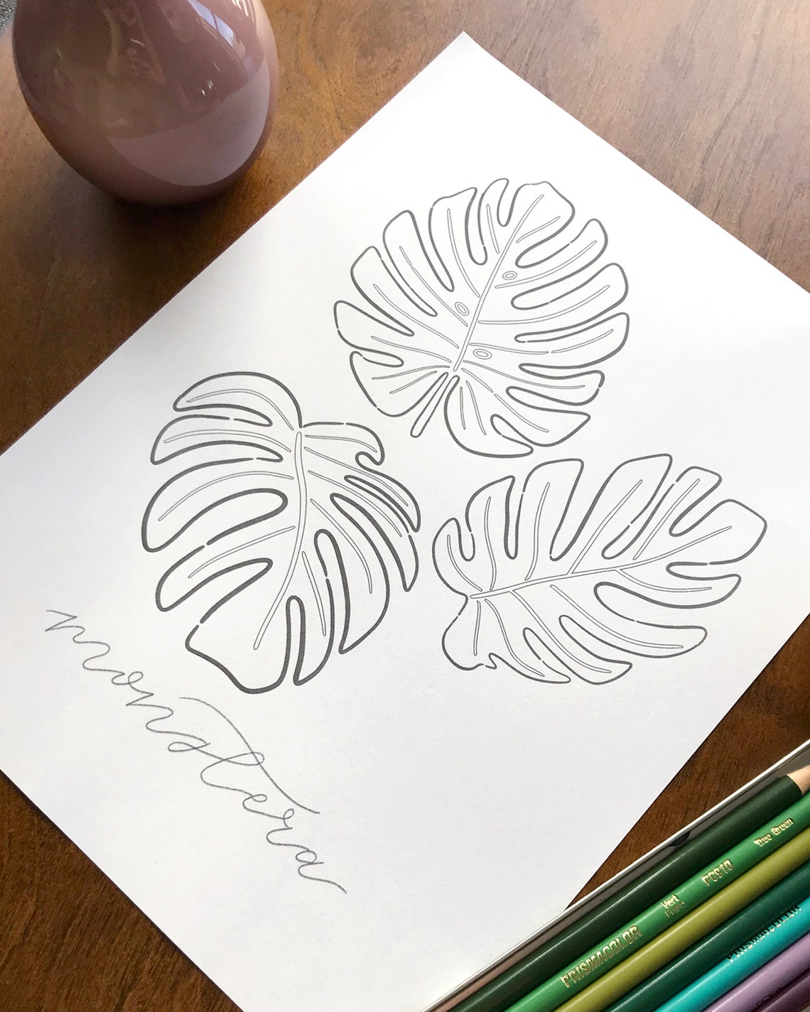 Monstera Leaf Coloring Page Fun Modern Monstera Leaf Drawing | Etsy