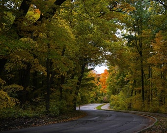 Fall scenery trees photo art autumn leaves photo for living room