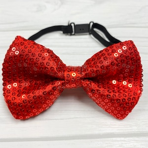 Può includere: Un papillon rosso fatto di paillettes. Il papillon ha un cinturino regolabile.