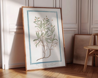 Pimprenelle | Botanical Print | Vintage Art | Digital Wall Art | Printable Art | NorthofNorse | V32b
