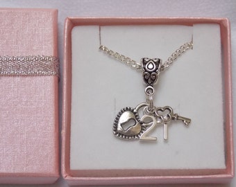 May include: A silver necklace with a heart-shaped padlock, a key, and a charm with the number 21. The necklace is presented in a pink gift box.