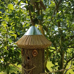 Nistkasten Vogelkasten Vogelhaus aus einem Baumstamm gefertigt Etsy.de