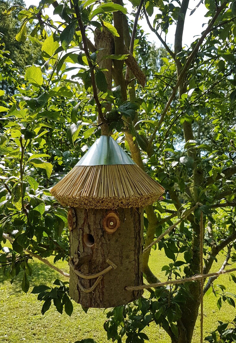 Nistkasten Vogelkasten Vogelhaus aus einem Baumstamm gefertigt Etsy.de