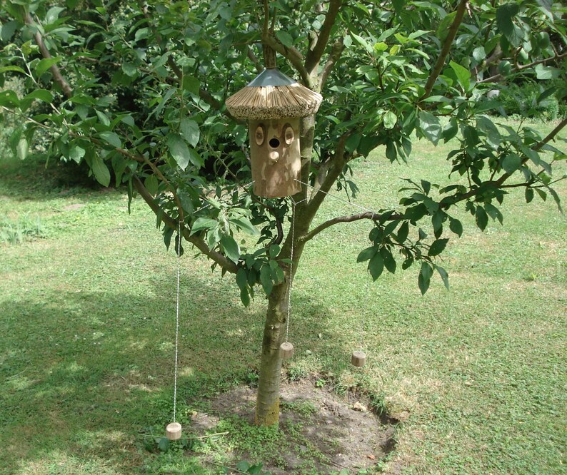 Nistkasten Vogelkasten Vogelhaus aus einem Baumstamm gefertigt Etsy.de