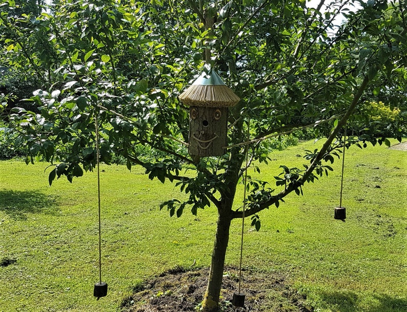 Nistkasten Vogelkasten Vogelhaus aus einem Baumstamm gefertigt Etsy.de