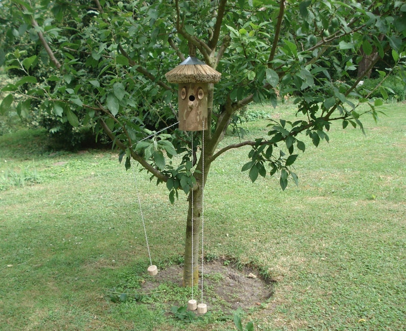 Nistkasten Vogelkasten Vogelhaus aus einem Baumstamm gefertigt Etsy.de