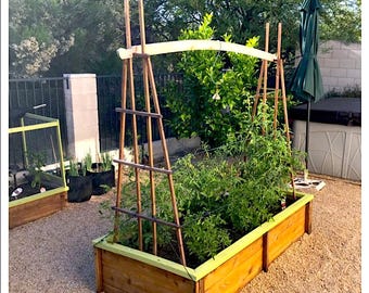 May include: Cedar raised garden bed with a trellis and a tomato plant growing inside. The bed is made of wood and has a yellow painted trim. The bed is sitting on a gravel surface. The text "CEDAR RAISED BED" and "Materials Prep and Assembly Instructions" is at the top of the image. The text "© 2022 Garden Art By Alder Landrace" is at the bottom of the image.
