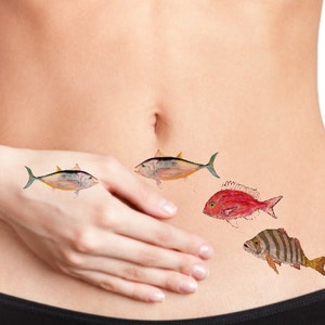 May include: Four colorful fish temporary tattoos on a person's stomach. The tattoos are of a tuna, a red fish, and two striped fish.