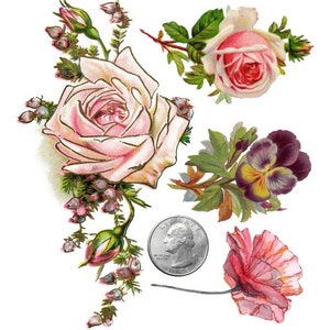 TEMPORARY TATTOO Set of 4 OR Set of 7 Vintage Florals PICTURE 2