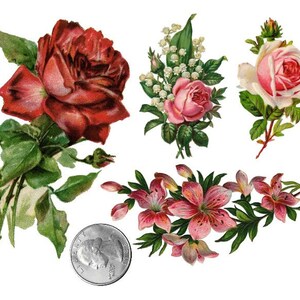 TEMPORARY TATTOO Set of 4 OR Set of 7 Vintage Florals PICTURE 5