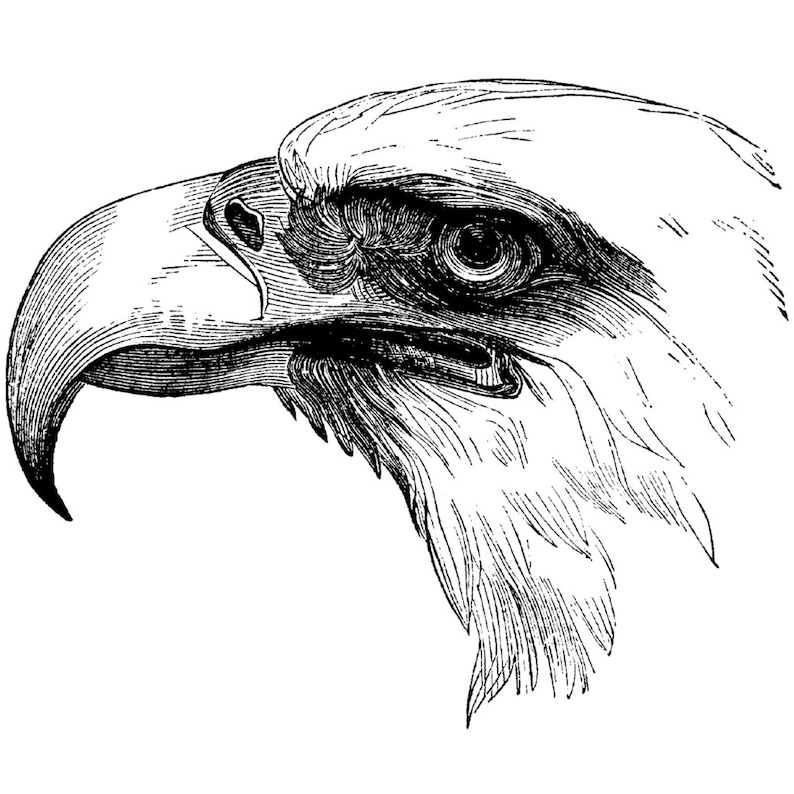 TEMPORARY TATTOO Patriotic Temporary Tattoos / American Flag / American Eagle image 5