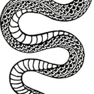 Könnte beinhalten: Schwarz-weiß-Zeichnung eines Schlangen mit einem detaillierten Muster auf seinem Körper. Die Schlange ist in einer vertikalen Position mit erhobenem Kopf zusammengerollt.