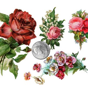 TEMPORARY TATTOO Set of 4 OR Set of 7 Vintage Florals PICTURE 4