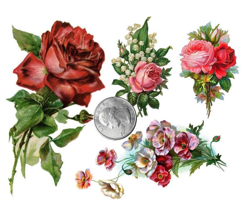 TEMPORARY TATTOO Set of 4 OR Set of 7 Vintage Florals PICTURE 4