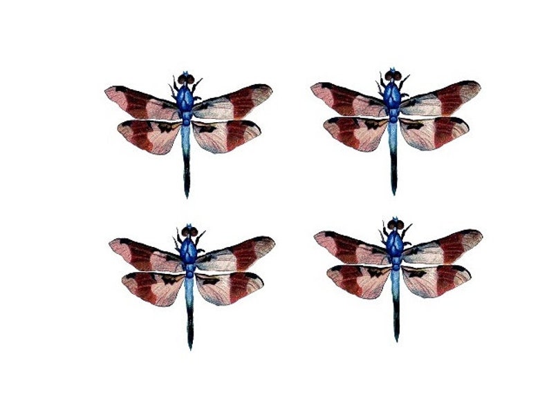 TEMPORARY TATTOO Set of 4 Delft Blauw Flower/ Swallow/ Winnie the Pooh /Hummingbird / Dragonflies /Wrist Size tattoo PICTURE 4