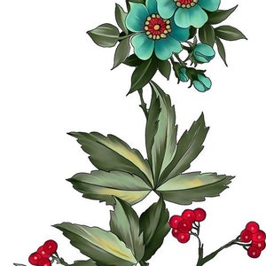 May include: A floral illustration featuring blue flowers with red centers, green leaves, and red berries. The flowers are arranged in a cluster on a stem with leaves and berries.