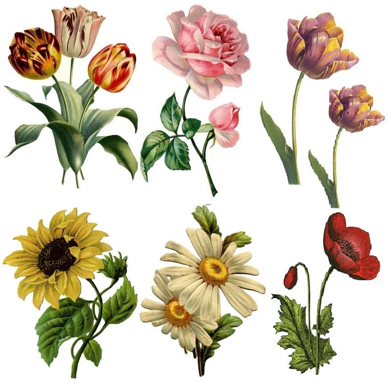 TEMPORARY TATTOO Set of 4 OR Set of 7 Vintage Florals PICTURE 6 (SET OF 7)