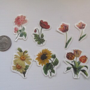 TEMPORARY TATTOO Set of 4 OR Set of 7 Vintage Florals image 7